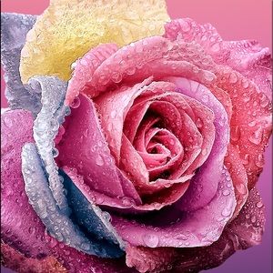 Meet your Posher, Blanca